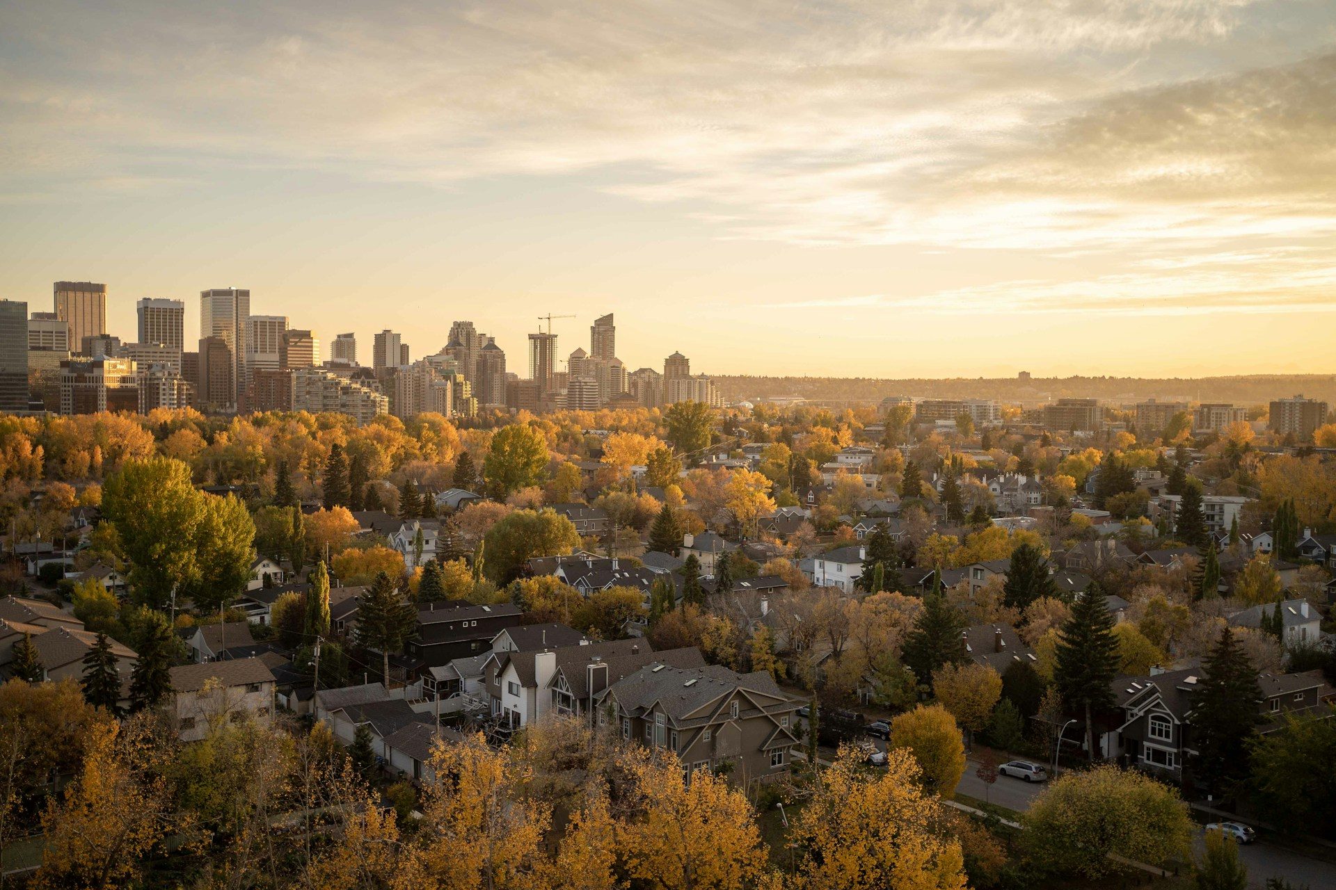 Downtown Calgary skyline at golden hour rising over autumn-lit residential neighbourhoods